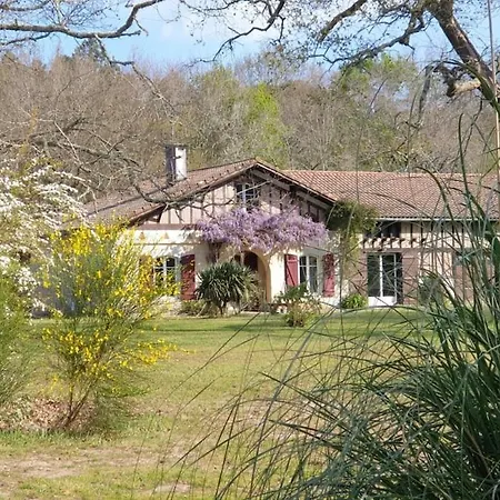 Maison Pour 8 Personnes Sur Grand Terrain Arbore Holiday home *