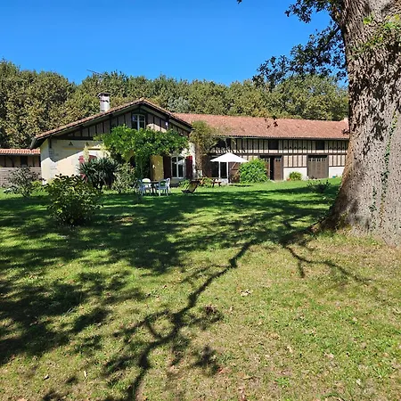 Feriehus Maison Pour 8 Personnes Sur Grand Terrain Arbore *