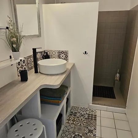 Maison Pour 8 Personnes Sur Grand Terrain Arbore Soustons